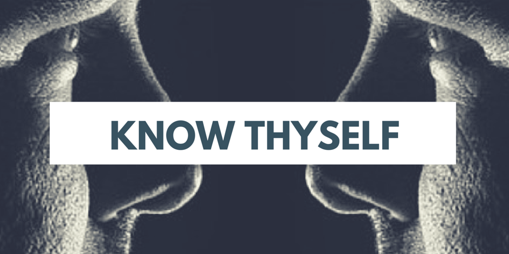 Scio Te (Know Thyself) . . .