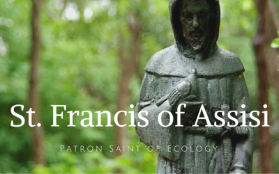 Emulating Saint Francis …