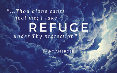 Taking Refuge …
