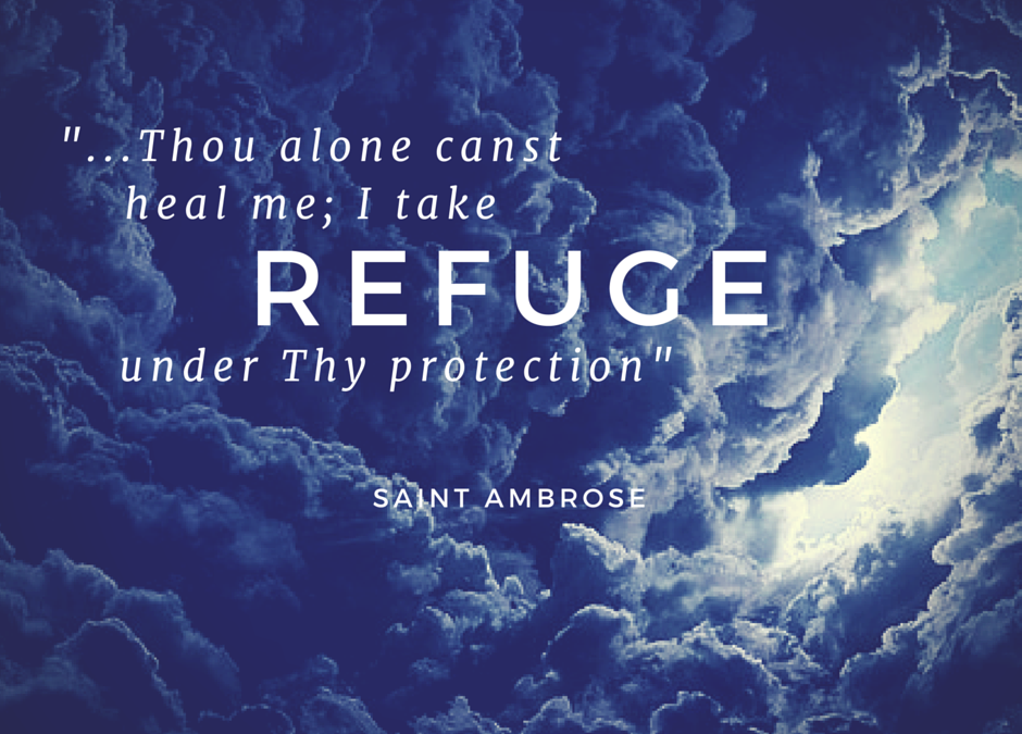 Taking Refuge …